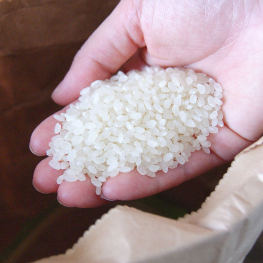 令和５年産 新米 有機栽培米　「コシヒカリ」白米　約５kｇ　＊送料込　